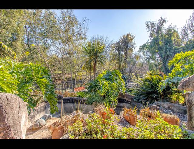 1 BEDROOM APARTMENT TO LET IN WOODMEAD